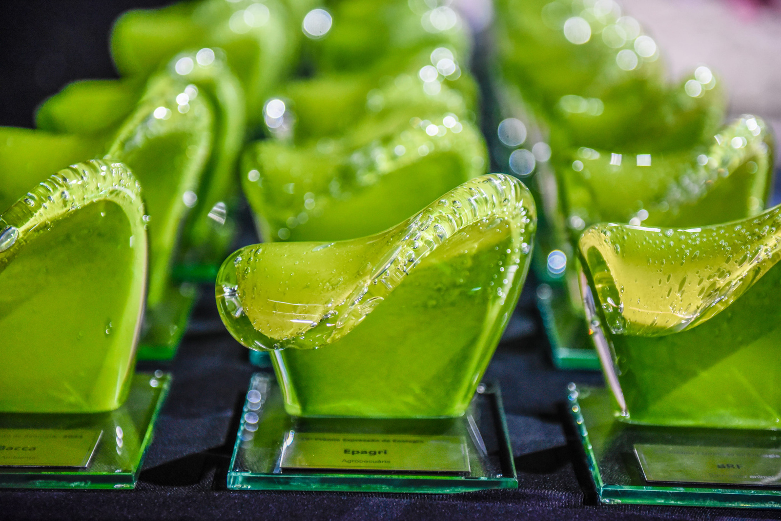 Prêmio Expressão de Ecologia,Ministério do Meio Ambiente,30º Prêmio Expressão de Ecologia,Troféu Onda Verde,Santa Catarina