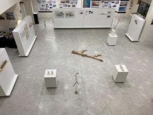 Biblioteca Municipal Machado de Assis,Balneário Camboriú,artista visual Pedro Gottardi,Universidade do Estado de Santa Catarina,Terceira Avenida