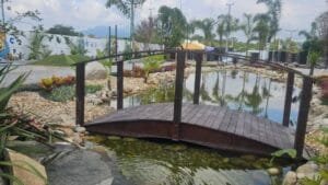 Balneário Camboriú,neurossensorial,América Latina,Casa do Autista,Análise do Comportamento Aplicada,autismo nível 1 ou 2,psicólogos,fonoaudiólogos,terapeutas ocupacionais