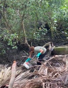 Dia Mundial da Limpeza,World Cleanup Day,Rio Camboriú,Oceanic Aquarium,Objetivos de Desenvolvimento Sustentável