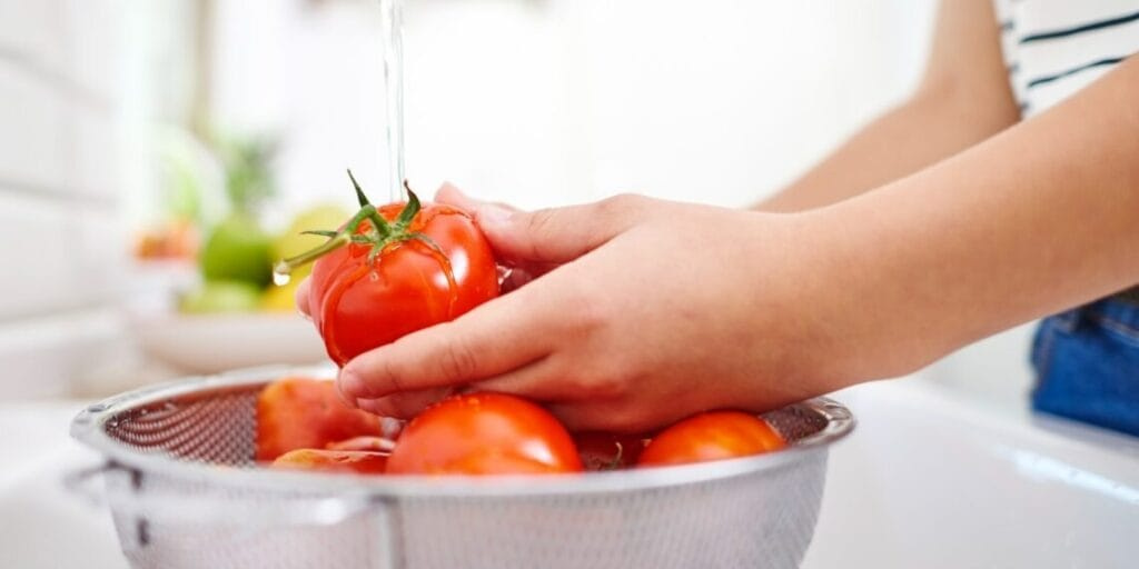 Saúde de Camboriú está com vagas abertas para curso de manipulação de alimentos