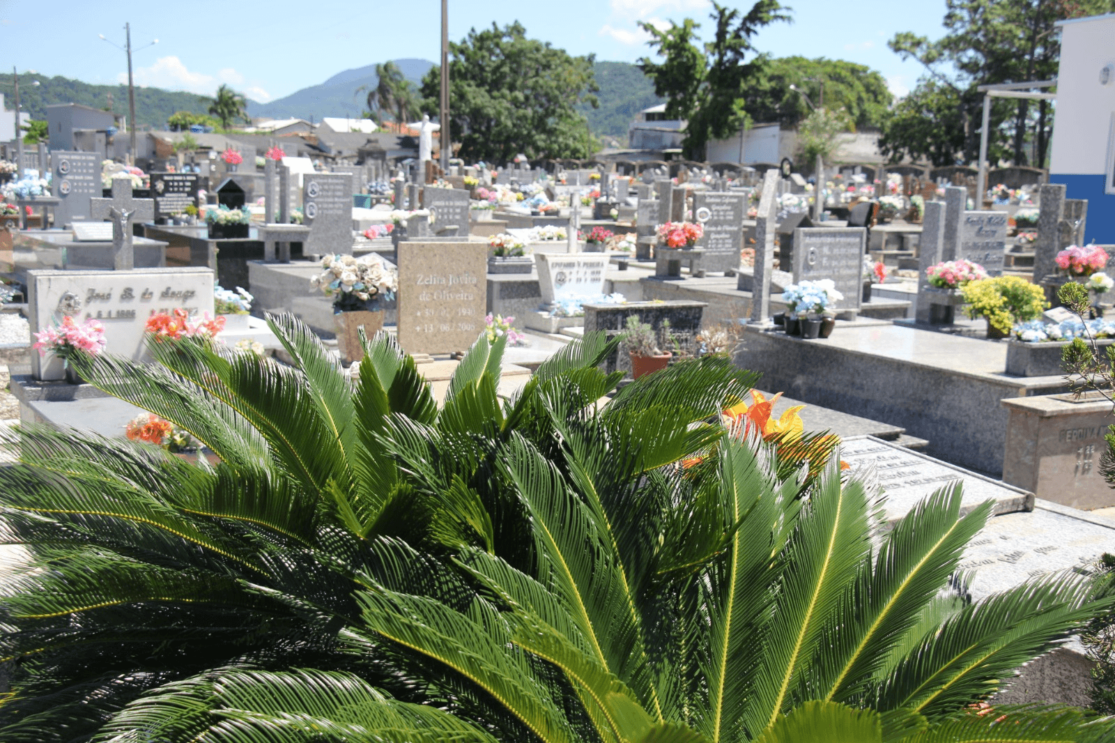 Cemitério Municipal da Barra,sábado (02/11),horário de funcionamento ampliado,Feriado Nacional de Finados,Prefeitura de Balneário Camboriú,visitantes,cultos ecumênicos