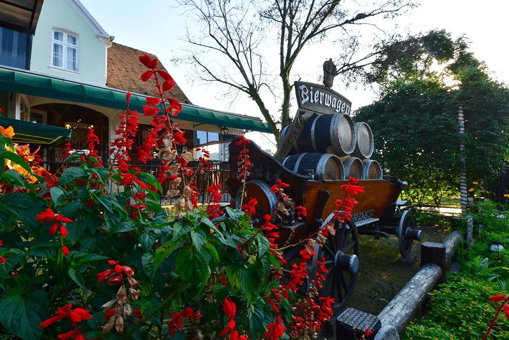 Um dia dedicado à cultura country com mais de 20 atrações e gastronomia típica acontece em Blumenau (SC) no dia 9 de novembro