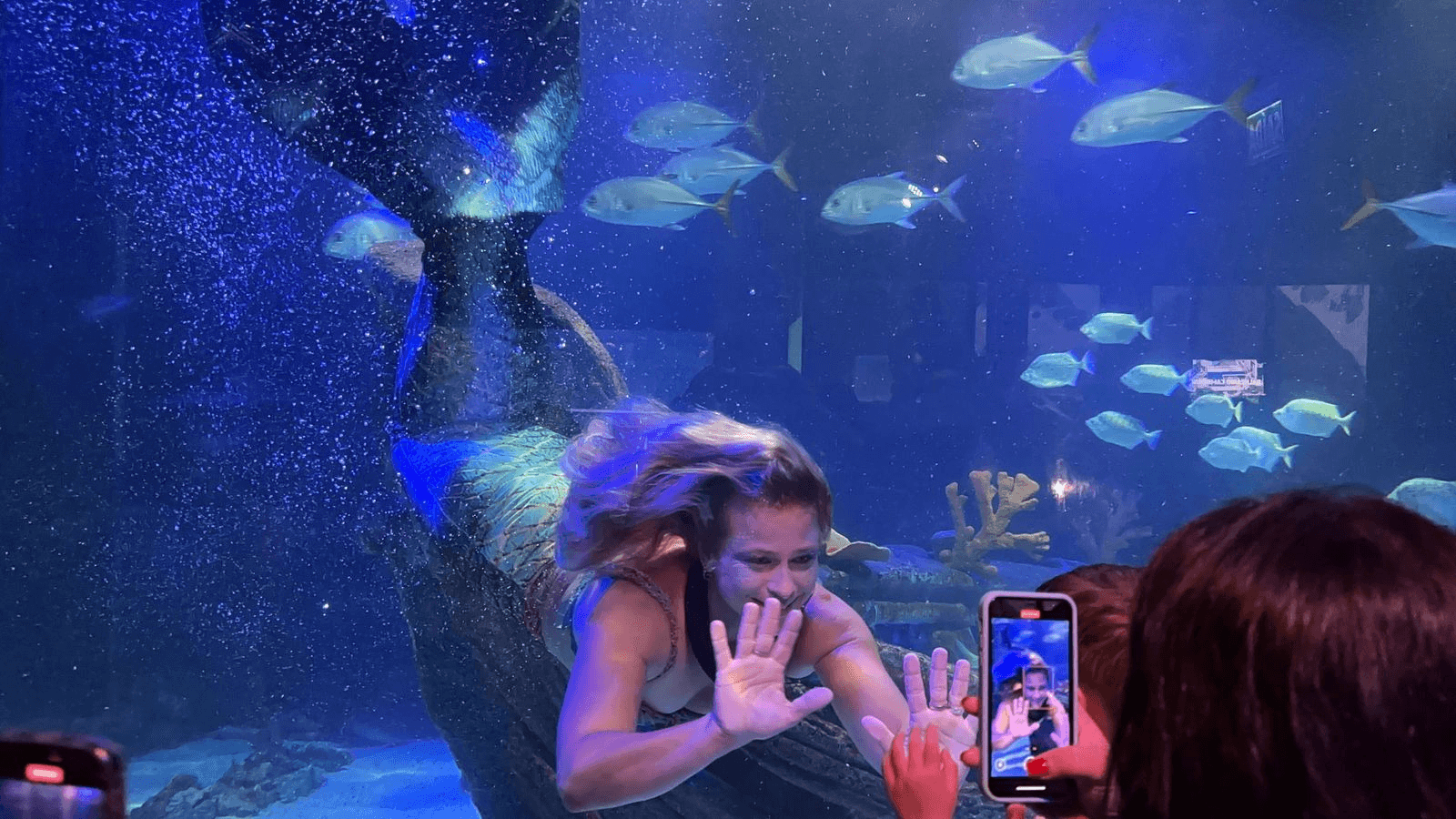 Grupo Oceanic,aquário Balneário Camboriú,sereia Luciana Fuzetti,Oceanic Aquarium,conservação marinha,programação especial,animais de água doce,tubarões mangona,pinguins,lontras,cavalos-marinhos,axolotes,passarela de vidro,cinema 3D,realidade virtual,promoção de verão,Passaporte da Diversão,Aventura Jurássica,Aventura Pirata,Classic Car Show,Space Adventure
