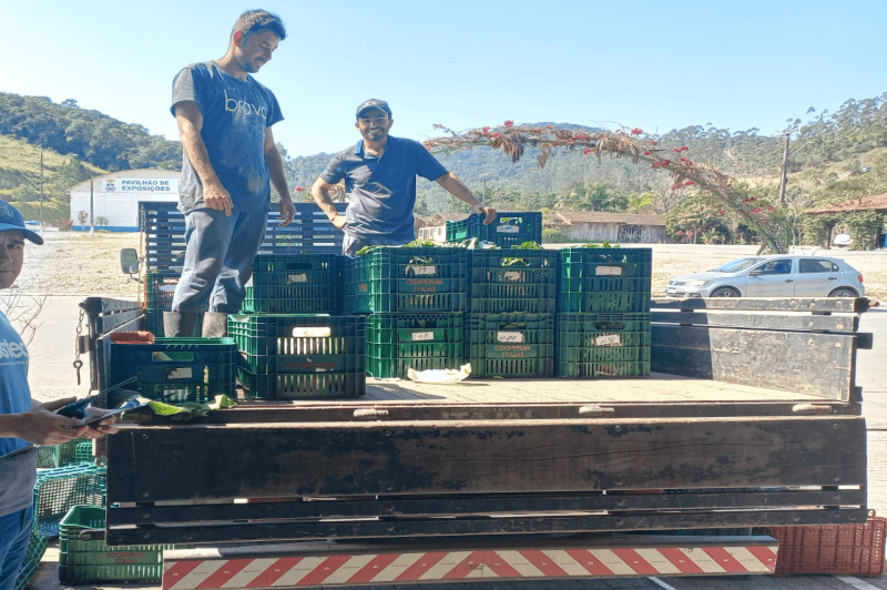 Programa de Aquisição de Alimentos (PAA),Itajaí,cestas verdes,insegurança alimentar e nutricional,agricultura familiar,recursos federais,Portaria MDS nº 120/2023,Elinia da Silva Mateus Marsango,entidades socioassistenciais,Secretaria de Assistência Social,Mulher e Família de Santa Catarina,Secretaria de Agricultura e Expansão Urbana,EPAGRI,INIS,Central do PAA,Parque do Agricultor Gilmar Graf,Centros de Referência de Assistência Social,Casa de Apoio Social,Centro POP,entidades beneficentes,hospitais.
