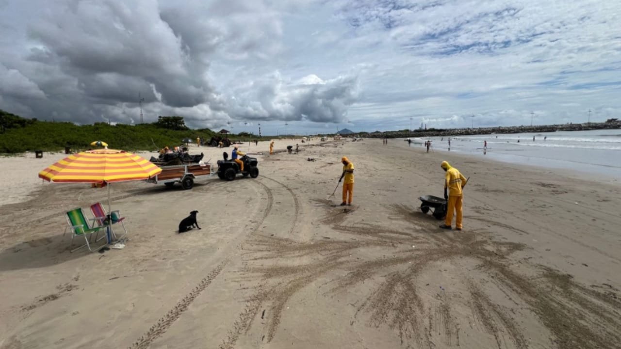 praias de Itajaí,verão,Secretaria Municipal de Obras,Ambiental Limpeza Urbana e Saneamento LTDA,limpeza das praias,chuvas,resíduos,mutirão,alta temporada de verão,agentes de limpeza,população,conservação,lixo,lixeiras,Instituto Itajaí Sustentável (INIS),Eco Local Brasil,voluntários,microlixo,bitucas de cigarros,plásticos,canudos,ecossistema marinho,vida marinha,fauna e flora da restinga,conservação da biodiversidade