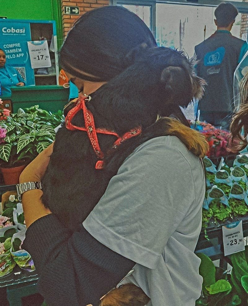 ONG Aliança com Vida promove campanha para a adoção de animais em São Paulo