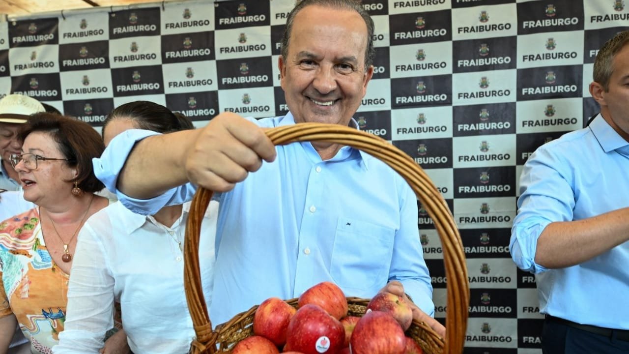 Colheita da Maçã,Produção de Maçã,Agricultura,Economia Rural,Exportação,Safra 2024,Agroindústria