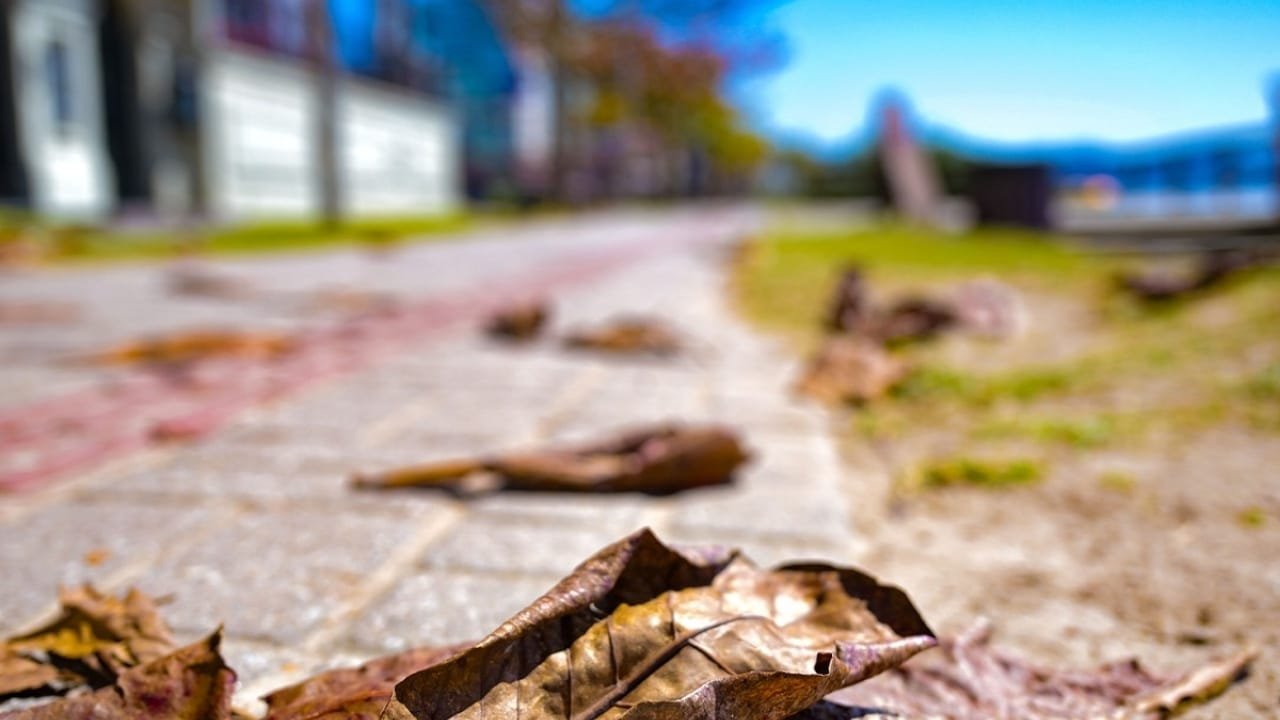 outono 2025,Santa Catarina,clima,amplitude térmica,frentes frias,ciclones extratropicais,geadas,agricultura,Proteção e Defesa Civil,Brasil