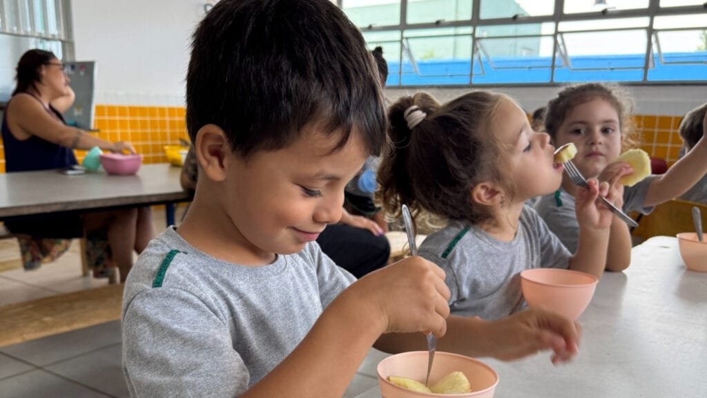 vagas período integral Balneário Piçarras,CEIs com vagas 2024,como matricular em creche,edital educação infantil SC,Secretaria de Educação Piçarras,lista de CEIs participantes