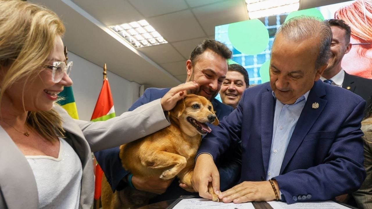 castração em SC,maior programa animal Brasil,Pet Levado a Sério 2025,como participar castração gratuita,SEMAE animais,investimento R$ 18 milhões,cidades beneficiadas SC,OMS castração animal,Concórdia castração,fórum crueldade animal,posse responsável,abandono de pets,zoonoses controle,microchipagem SC,edital castração