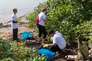 projeto Juntos Pelo Rio,voluntários para limpeza,mutirão de limpeza,Marina Itajaí,Semana do Meio Ambiente,coleta de resíduos,conscientização ambiental,limpeza de rios,limpeza de praias,reciclagem de resíduos,combate à dengue,triagem de resíduos,cooperativas de reciclagem,descarte de eletrônicos,preservação ambiental