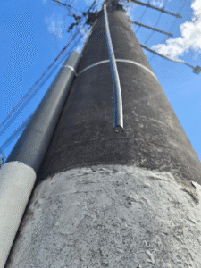 Furto de cabos,Preso em flagrante,Marginal Leste,Guarda Municipal BC,Fiação elétrica,CPP Balneário