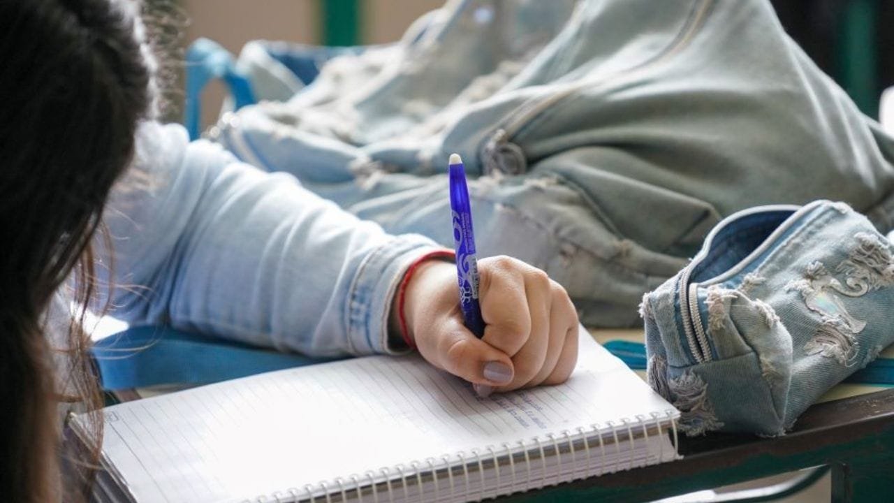 simulador Índice de Carência,Universidade Gratuita SC,Fumdesc 2025