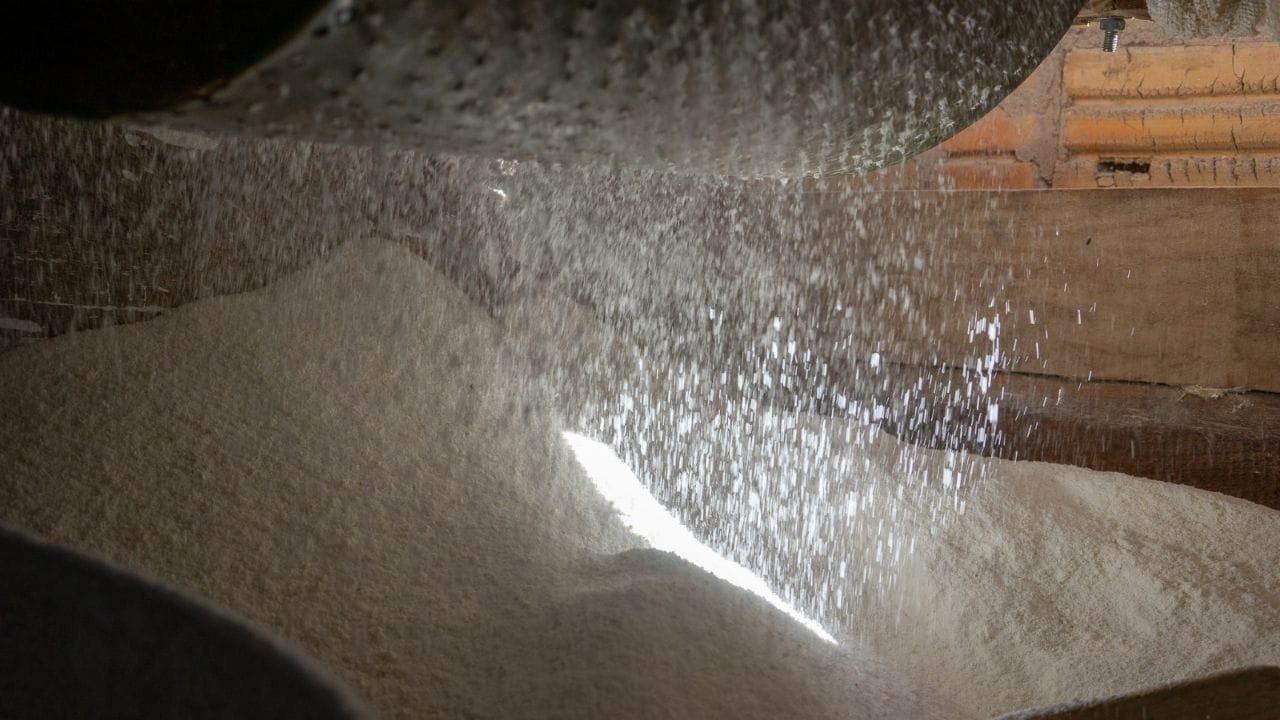 Farinhada Bombinhas,engenhos de farinha SC,patrimônio imaterial Santa Catarina,evento cultural Bombinhas,Instituto Boimamão