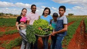 agricultura familiar 2024-2025,Pronaf,Plano Safra 2025,crédito rural,mulheres agricultoras