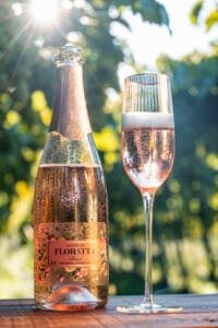 Cooperativa Vinícola Garibaldi,ExpoSuper 2025,vinhos e espumantes,mercado supermercadista,lançamento de rótulos