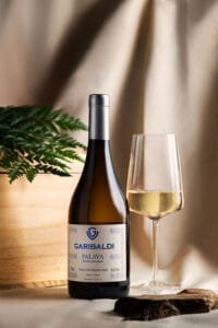 Cooperativa Vinícola Garibaldi,ExpoSuper 2025,vinhos e espumantes,mercado supermercadista,lançamento de rótulos