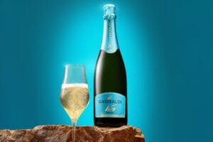 Cooperativa Vinícola Garibaldi,ExpoSuper 2025,vinhos e espumantes,mercado supermercadista,lançamento de rótulos
