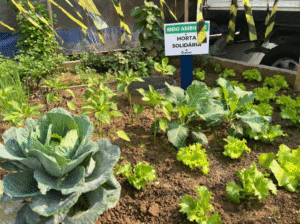 Quantum Engenharia,sustentabilidade Santa Catarina,redução de CO₂,iluminação pública,energia solar