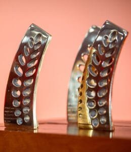 Festival Santa Cruz de Cinema,curtas-metragens,cinema brasileiro,cinema gaúcho,evento cultural gratuito,UNISC,Mostra Olhares Daqui,Mostra Nacional,Mostra Pantalla,filmes do Uruguai,Araci Esteves,Allan Souza Lima,rodadas de negócios,painel de turismo cinematográfico,Troféu Tipuana