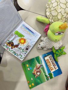 projeto tartarugas,NEI Balneário Camboriú,educação ambiental infantil,investigação pedagógica,tartaruga e poluição