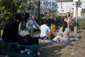 fotografia contemplativa,oficina gratuita Balneário Camboriú,Clarissa Herrig,natureza Santa Catarina,Parque Raimundo Gonçalez Malta
