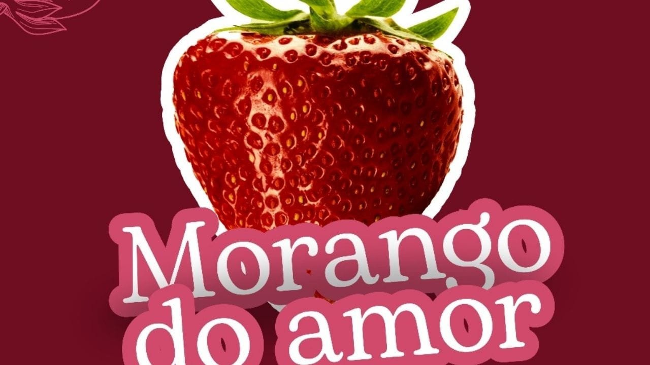 oficina morango do amor,Balneário Camboriú,curso gratuito