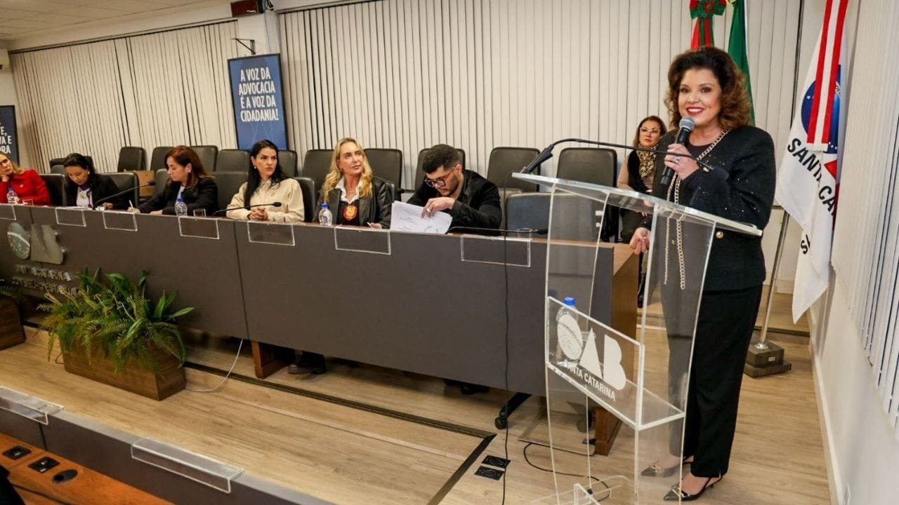 violência contra a mulher,Marilisa Boehm,políticas públicas Santa Catarina,Lei Maria da Penha