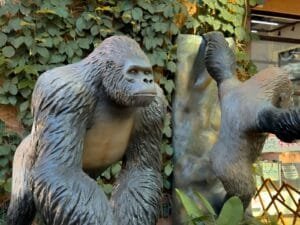 Smart Zoo Porto Belo,exposição animais Santa Catarina,zoológico animatrônico