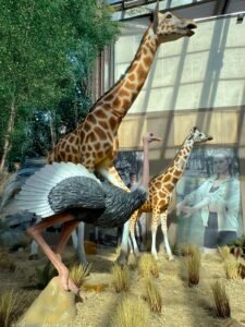 Smart Zoo Porto Belo,exposição animais Santa Catarina,zoológico animatrônico