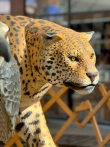 Smart Zoo Porto Belo,exposição animais Santa Catarina,zoológico animatrônico