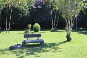 Sexta Cultural Balneário Camboriú,evento no Parque Raimundo Malta,contação de histórias BC,Biblioteca ao Ar Livre