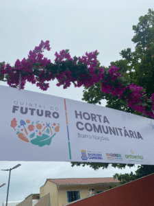 horta comunitária Bairro das Nações,Balneário Camboriú alimentos grátis,hortaliças orgânicas comunitárias,projeto sustentável BC,cultivo coletivo urbano