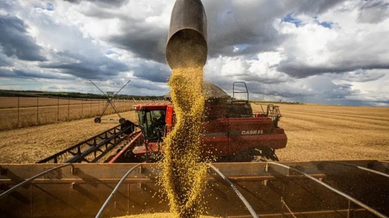 recorde de grãos 2024/25,safra de soja e milho,produção agrícola Brasil,Conab,exportações de grãos