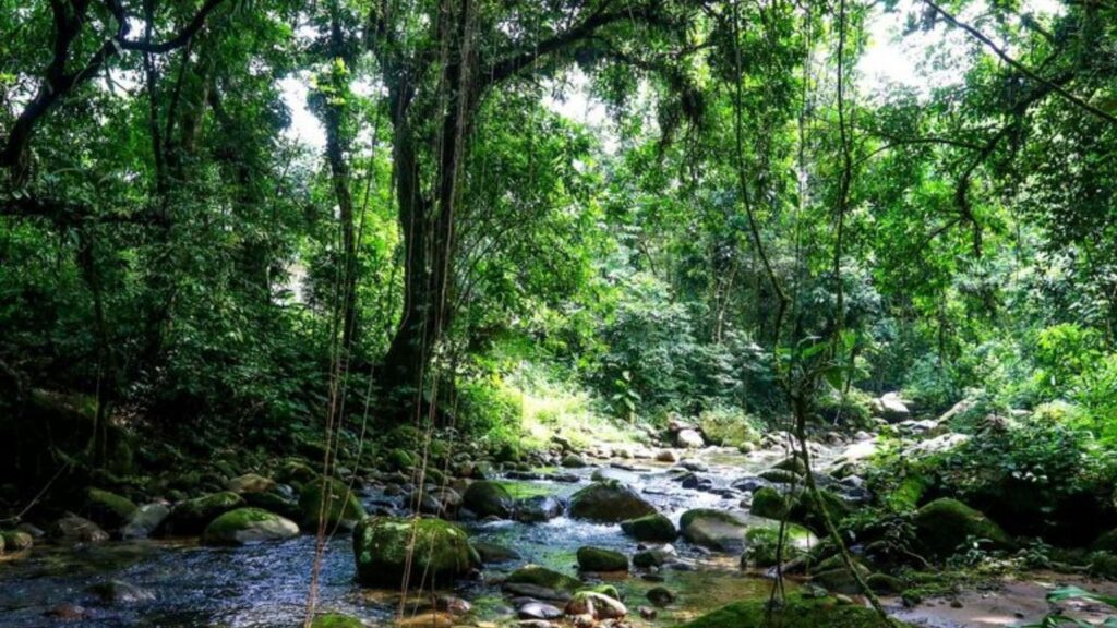 turismo sustentável Brasil,Programa Natureza com as Pessoas,ICMBio,Unidades de Conservação,ecoturismo