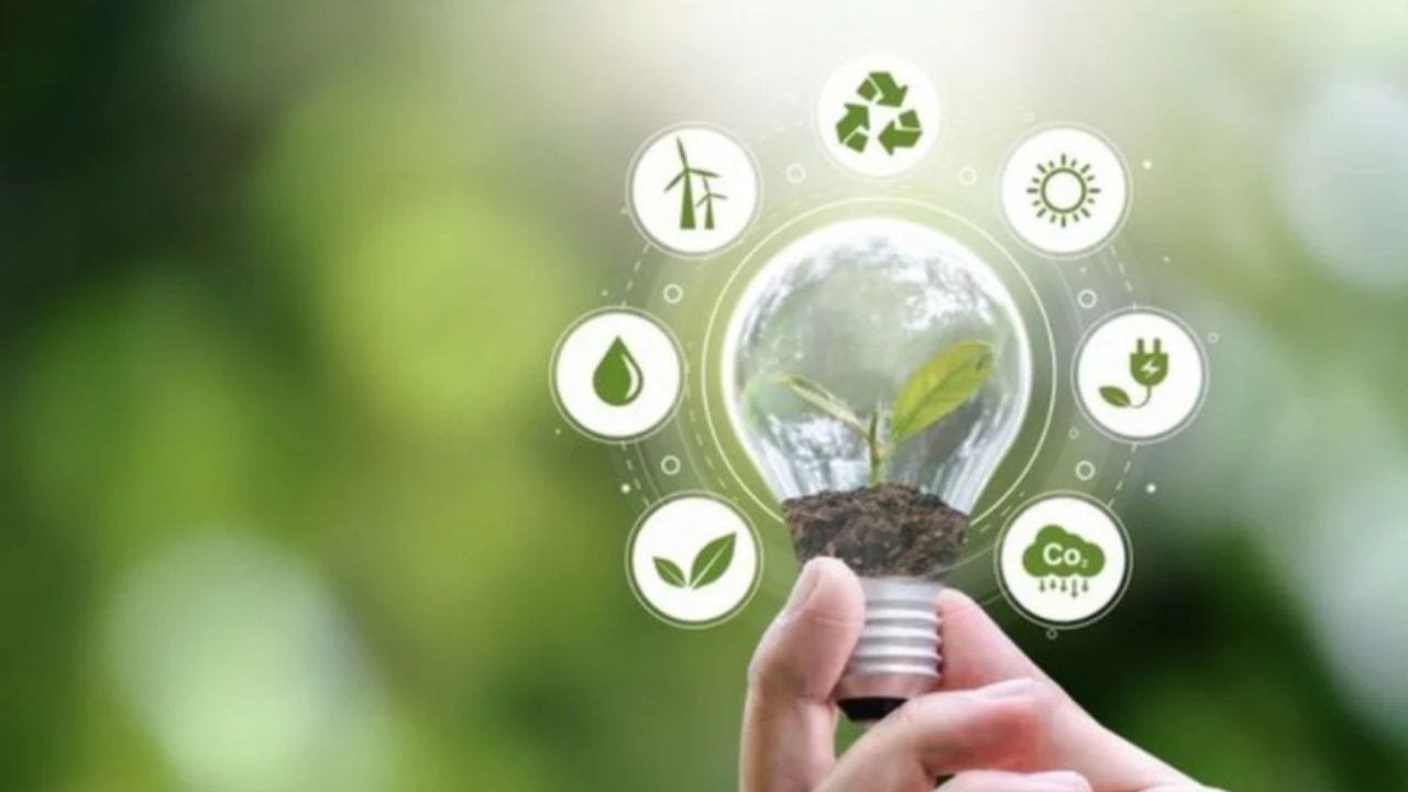 QLuz Itajaí,economia circular SC,resíduos iluminação pública,sustentabilidade Itajaí,Quantum Engenharia