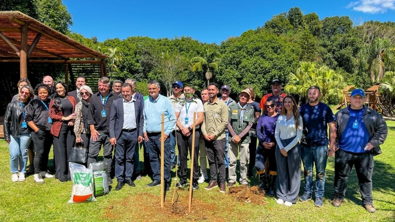 plantio de árvores,arborização urbana,Balneário Camboriú,gestão ambiental,árvores nativas,Viveiro Mata Atlântica,educação ambiental