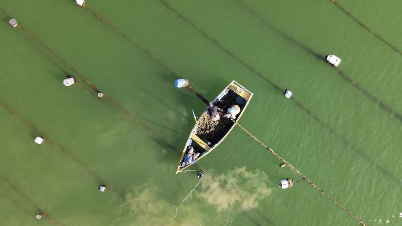 Festival do Mar Bombinhas,exposição Memórias Vivas do Mar,maricultura em Santa Catarina