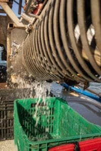 Festival do Mar Bombinhas,exposição Memórias Vivas do Mar,maricultura em Santa Catarina