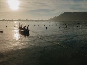 Festival do Mar Bombinhas,exposição Memórias Vivas do Mar,maricultura em Santa Catarina