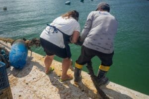 Festival do Mar Bombinhas,exposição Memórias Vivas do Mar,maricultura em Santa Catarina