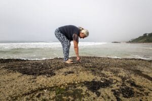 Festival do Mar Bombinhas,exposição Memórias Vivas do Mar,maricultura em Santa Catarina