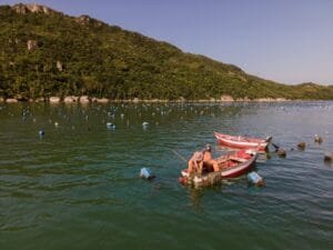 Festival do Mar Bombinhas,exposição Memórias Vivas do Mar,maricultura em Santa Catarina