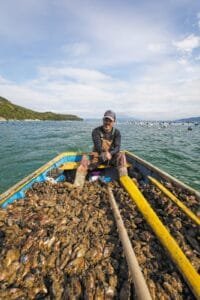 Festival do Mar Bombinhas,exposição Memórias Vivas do Mar,maricultura em Santa Catarina