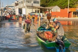 Festival do Mar Bombinhas,exposição Memórias Vivas do Mar,maricultura em Santa Catarina