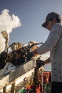 Festival do Mar Bombinhas,exposição Memórias Vivas do Mar,maricultura em Santa Catarina