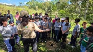 Projeto Produtor de Água,plantio de árvores Camboriú,Emasa Balneário Camboriú