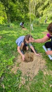 Projeto Produtor de Água,plantio de árvores Camboriú,Emasa Balneário Camboriú