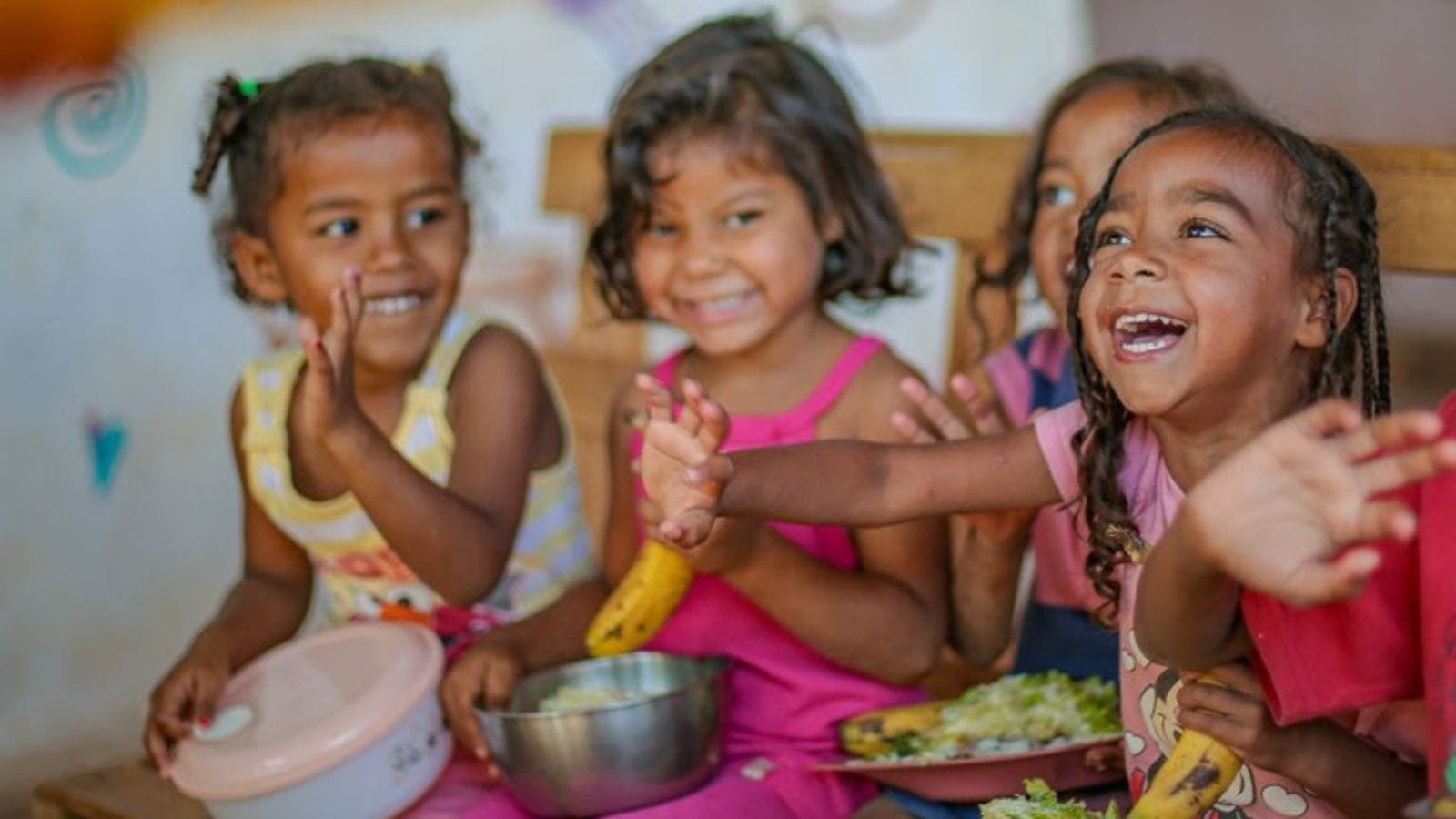 Brasil fome,IBGE 2024,segurança alimentar,Mapa da Fome,Plano Brasil Sem Fome
